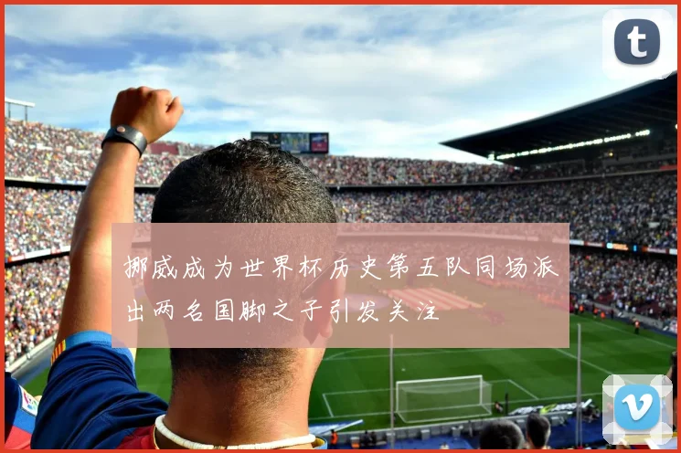 挪威成为世界杯历史第五队同场派出两名国脚之子引发关注
